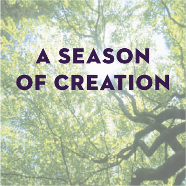 A Season of Creation