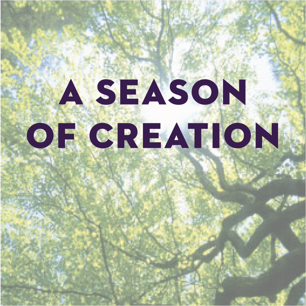 A Season of Creation