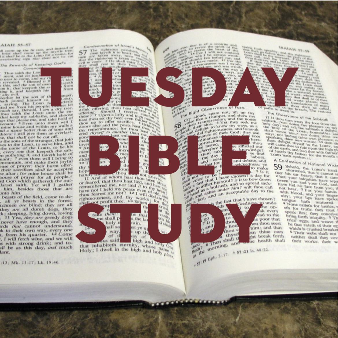 Tuesday Bible Study Returns
