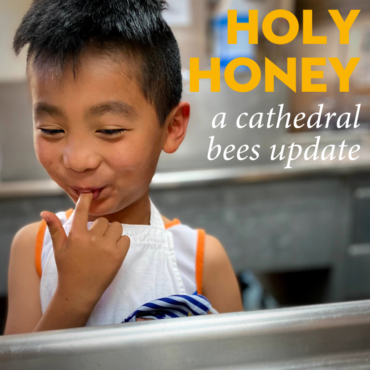 Holy Honey: A Cathedral Bees Update