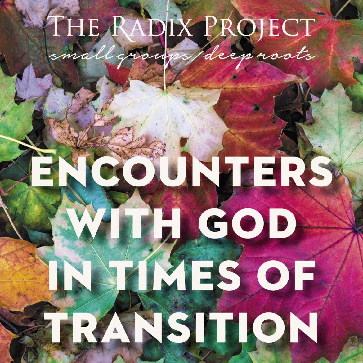 Radix 6 Opening Plenary: Encounters with God in Times of Transition