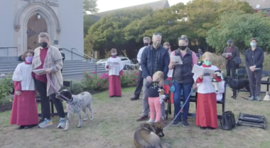 Blessing of the Animals, 2021
