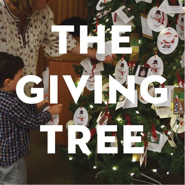 The Giving Tree 2023
