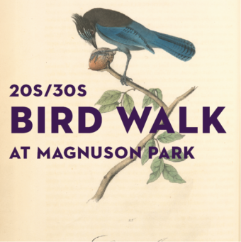 20s/30s Bird Walk in Magnuson Park