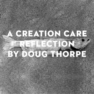 “Easter Uprising” by Doug Thorpe