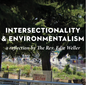 Intersectionality and Environmentalism: A Reflection by The Rev. Edie Weller