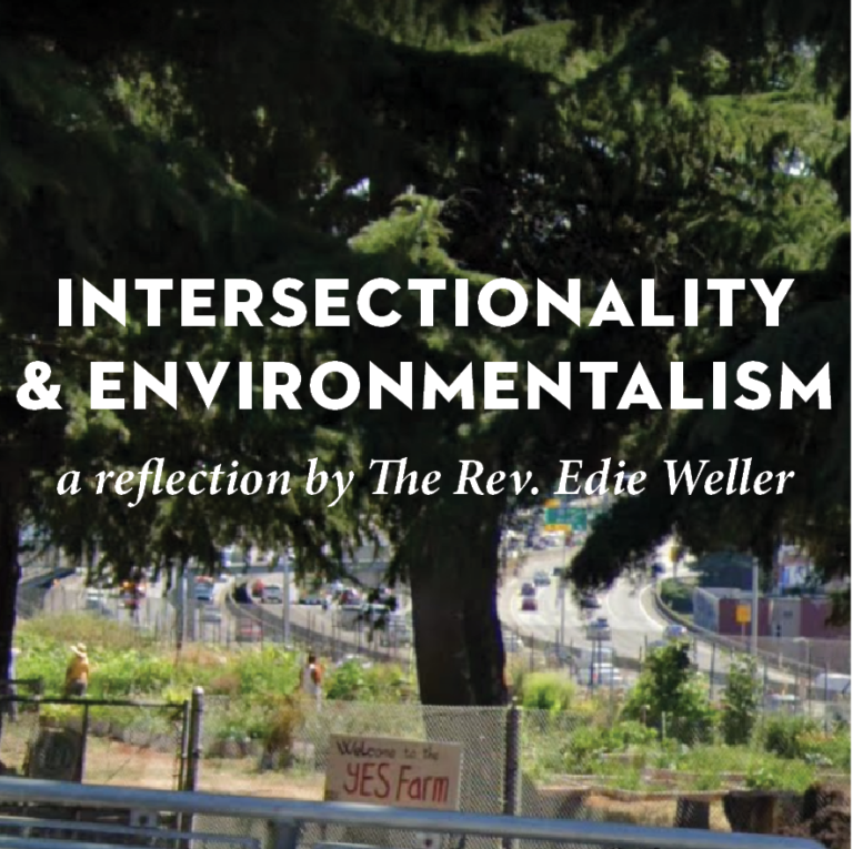 Intersectionality Environmentalism Intersectionality and Environmentalism: A Reflection by The Rev. Edie ...