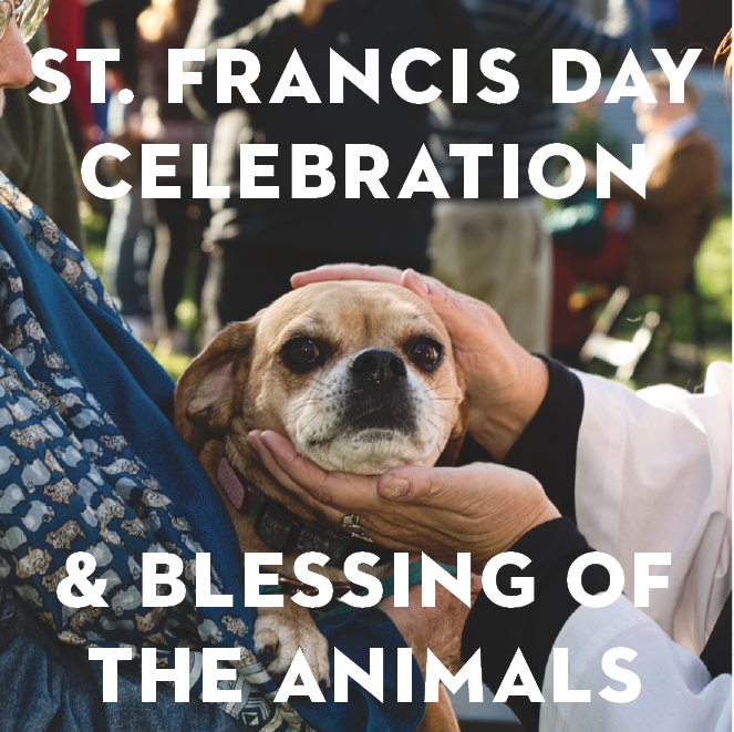 2023 St. Francis Day Celebration & Blessing of the Animals - Saint Mark's  Episcopal Cathedral