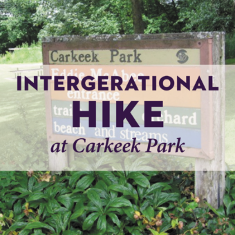 Intergenerational Hike to Carkeek Park