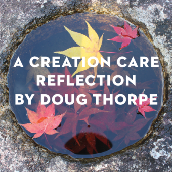 “Autumn Returns” by Doug Thorpe