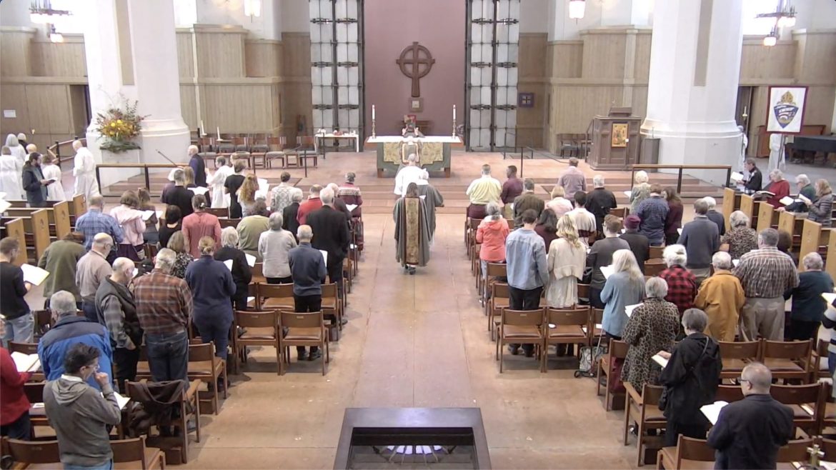 The 22nd Sunday after Pentecost, 2024