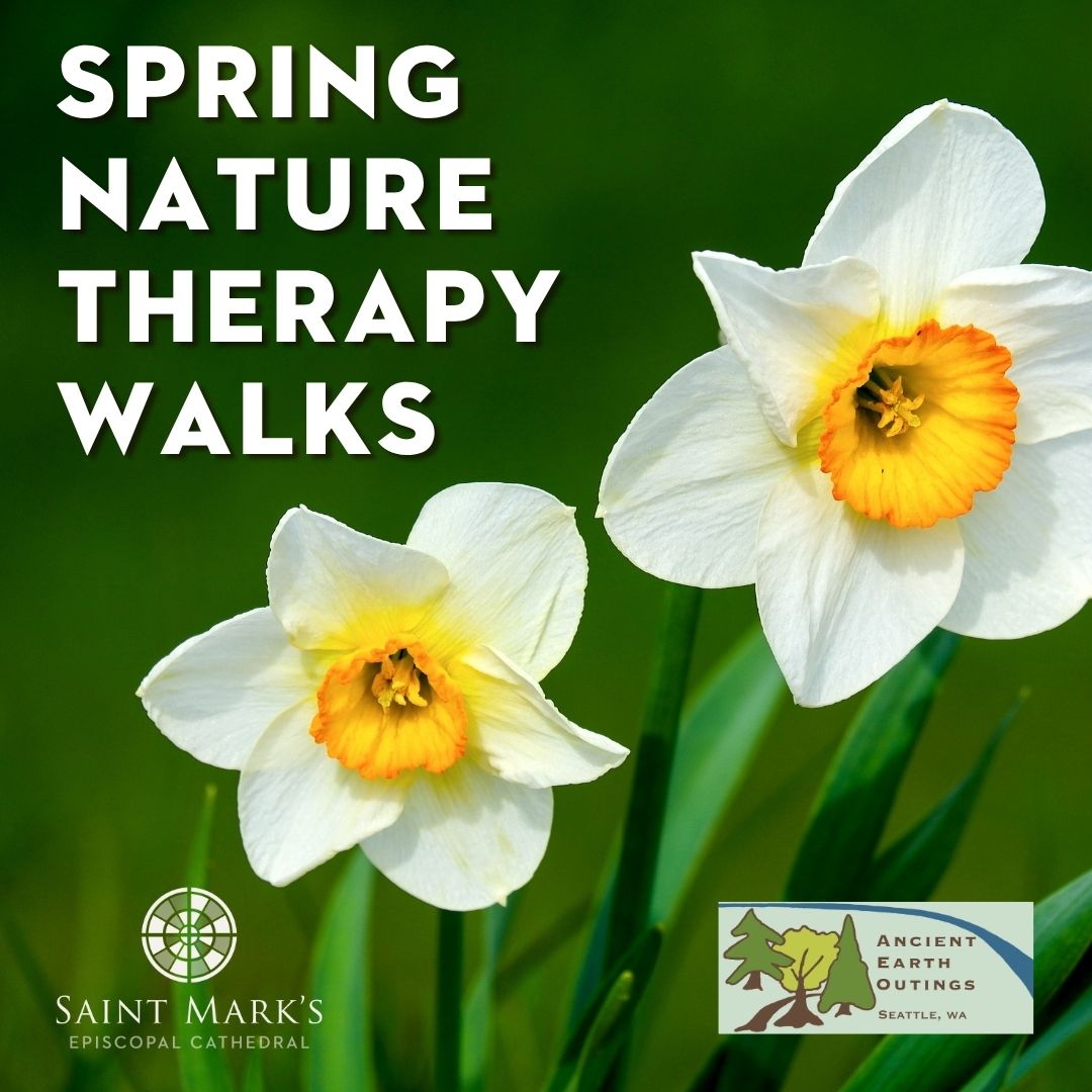 Spring Nature Therapy Walks