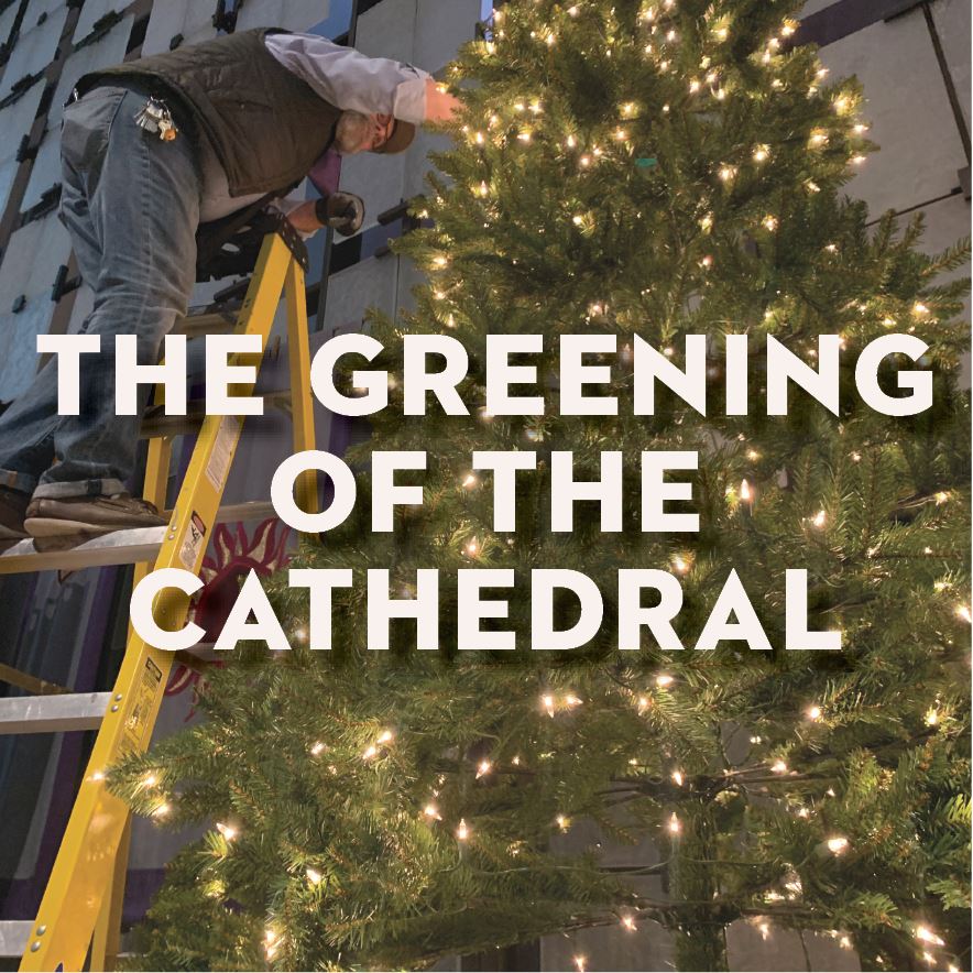 The Greening of the Cathedral, 2023