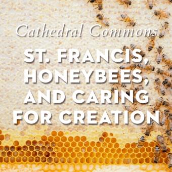 St. Francis, Honeybees, and Caring for Creation